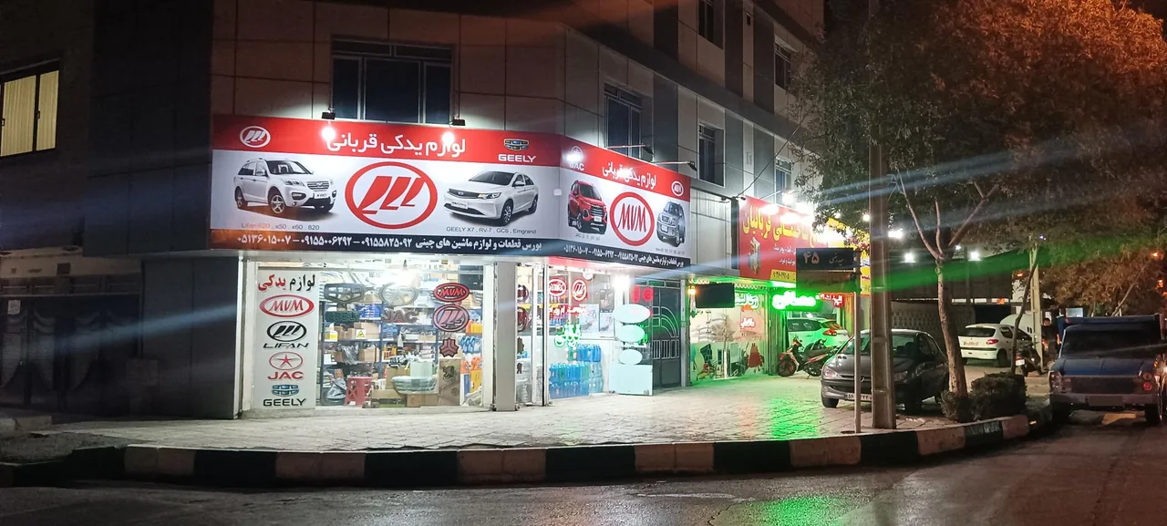 لوازم یدکی خودروهای چینی قربانی - تصویر 2