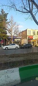 لنت ترمز ریحانی