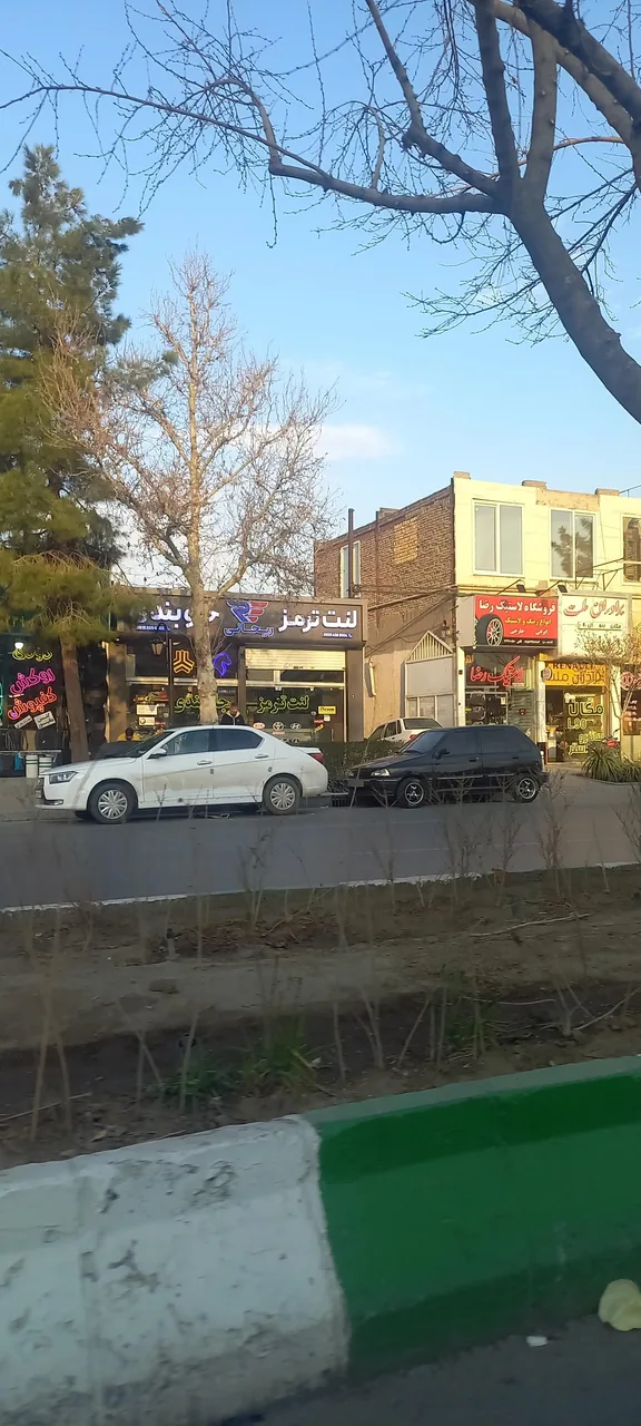لنت ترمز ریحانی