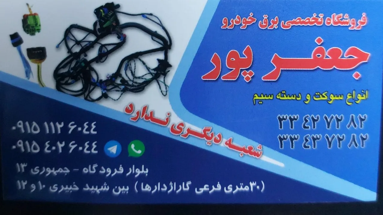 دنیای دسته سیم جعفرپور - تصویر 5
