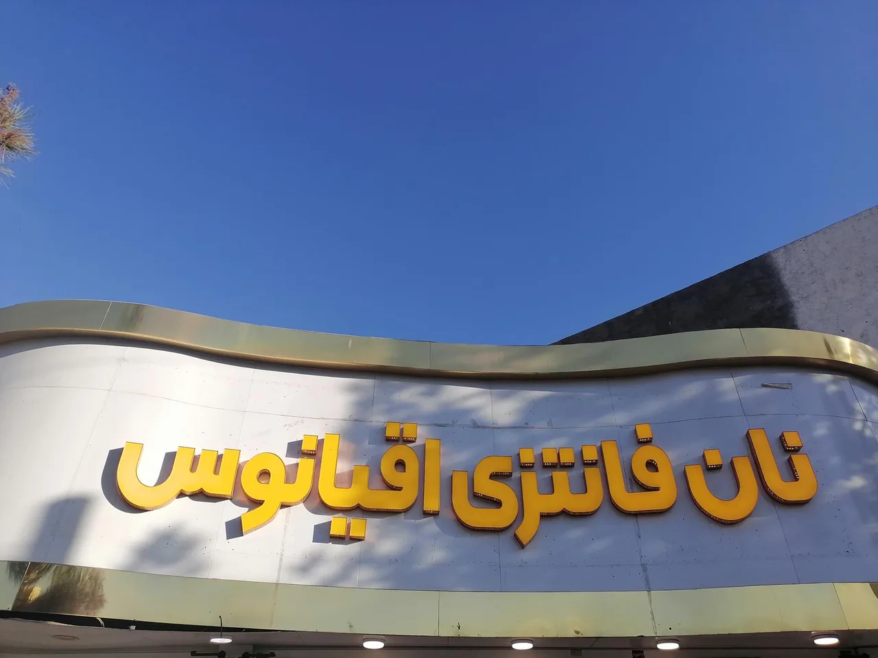 نان فانتزی ونوس - تصویر 3