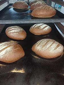 نان فانتزی پدر و پسر