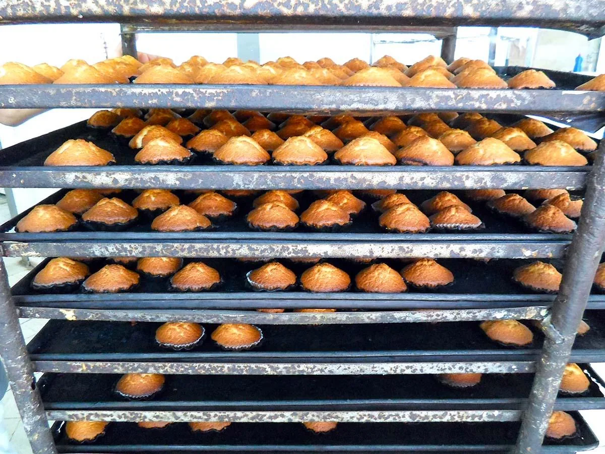 نان فانتزی پاژ - تصویر 5