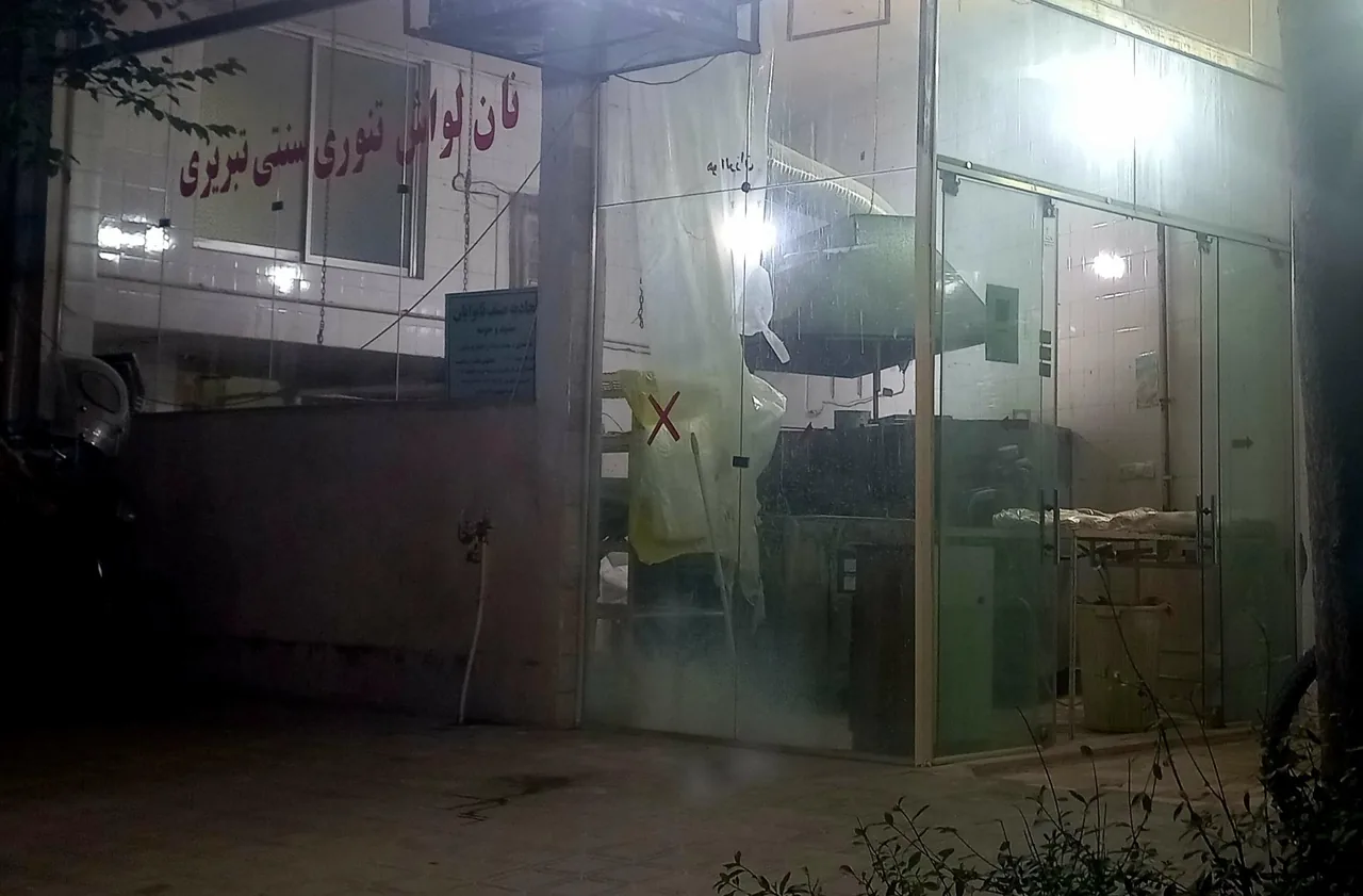 نان لواش سنتی و تنوری تبریزی - تصویر 2