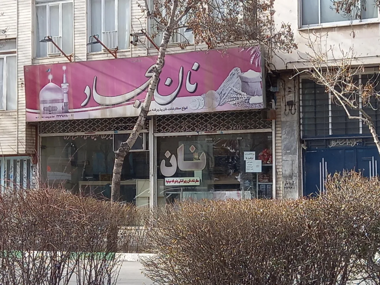 نان بربری سجاد