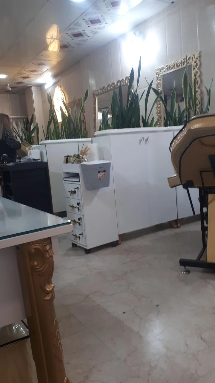 زیبایی رویا پرنیان vip - تصویر 3