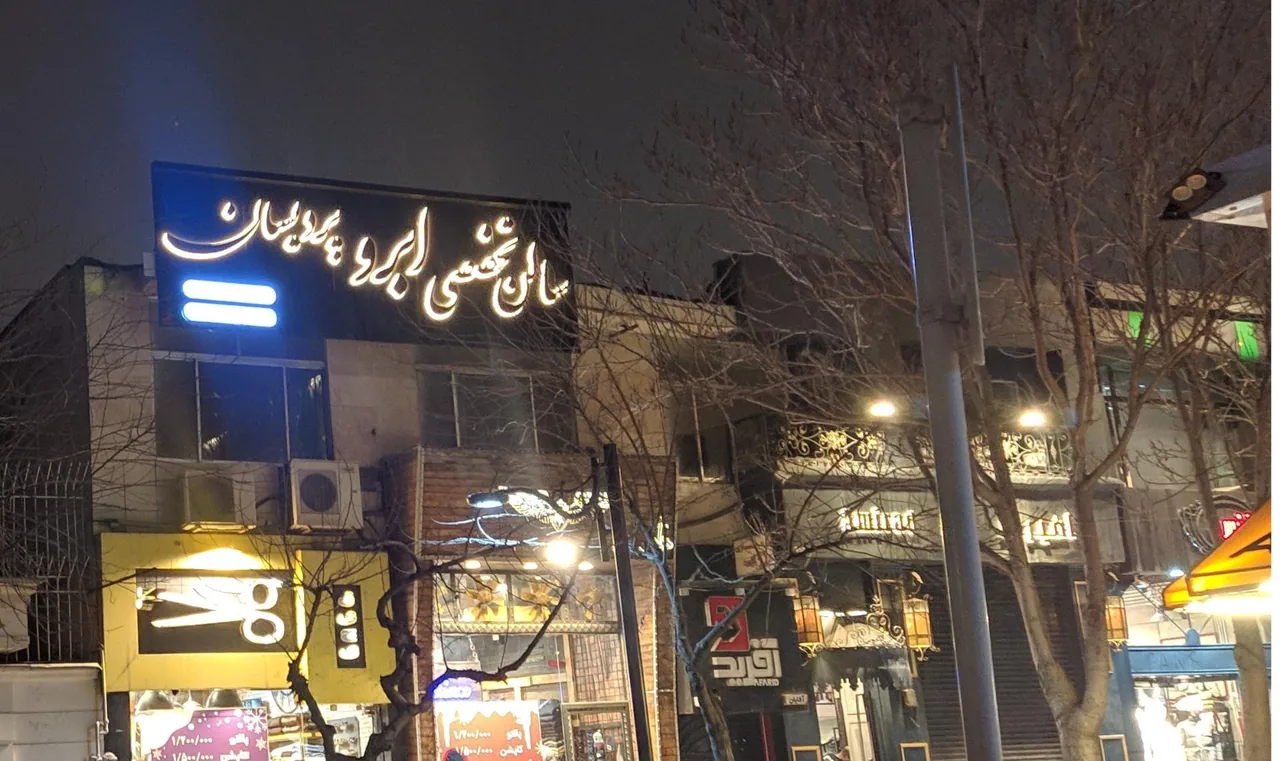 سالن ابرو میکروبلیدینگ الهام اعتمادی (زیبایی پردیسان) - تصویر 3