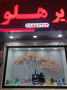 بانک کتاب و تحریر هلو