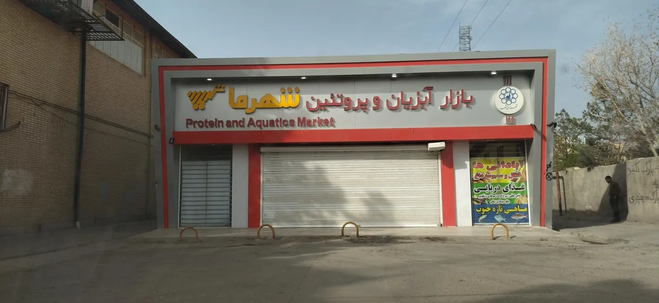 بازار آبزیان و پروتئین شهرما (برادران صالحی) - تصویر 3