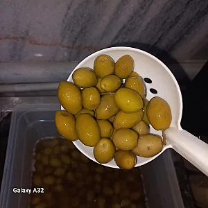 پروتئین دل مزه