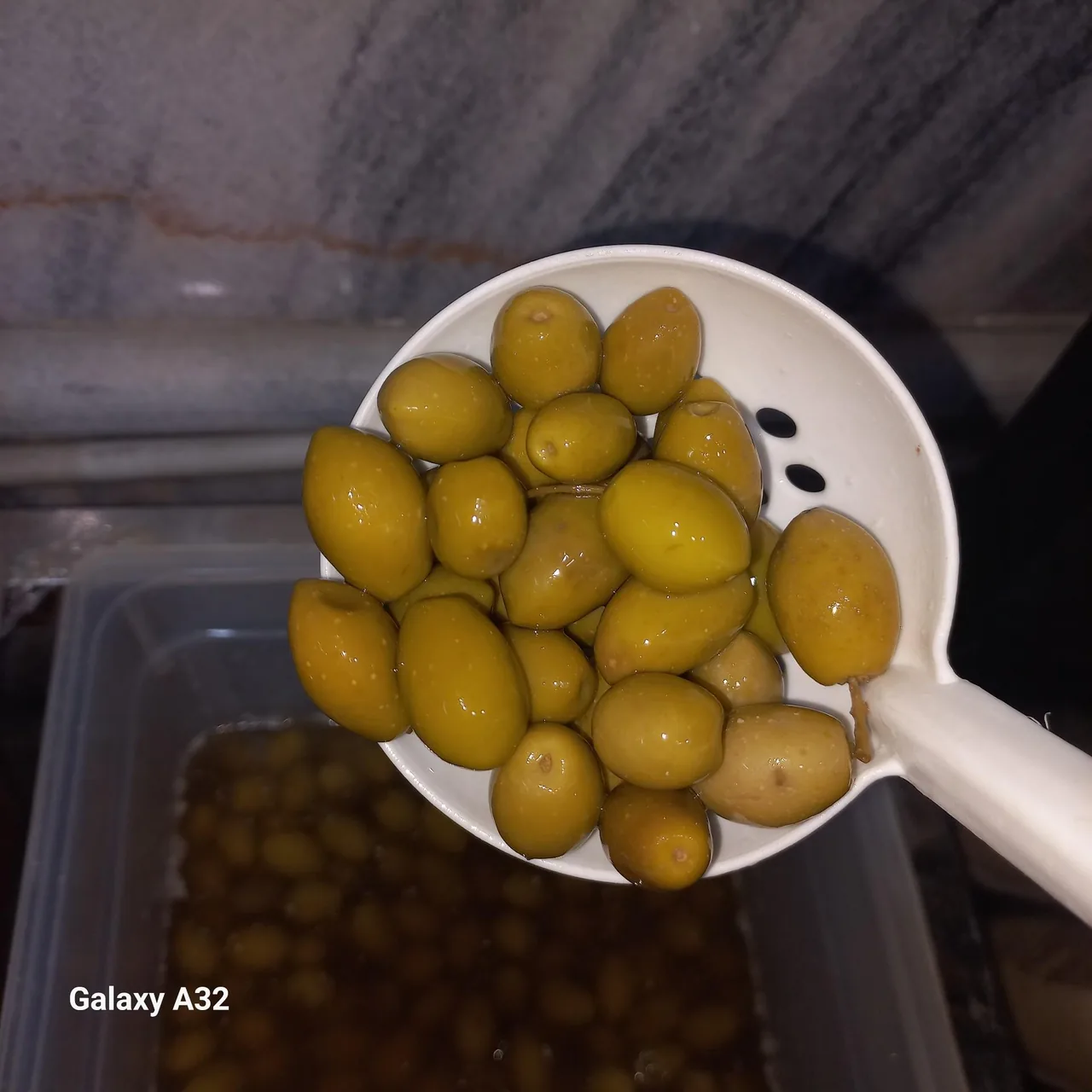 پروتئین دل مزه