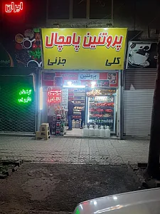 پروتئین پامچال