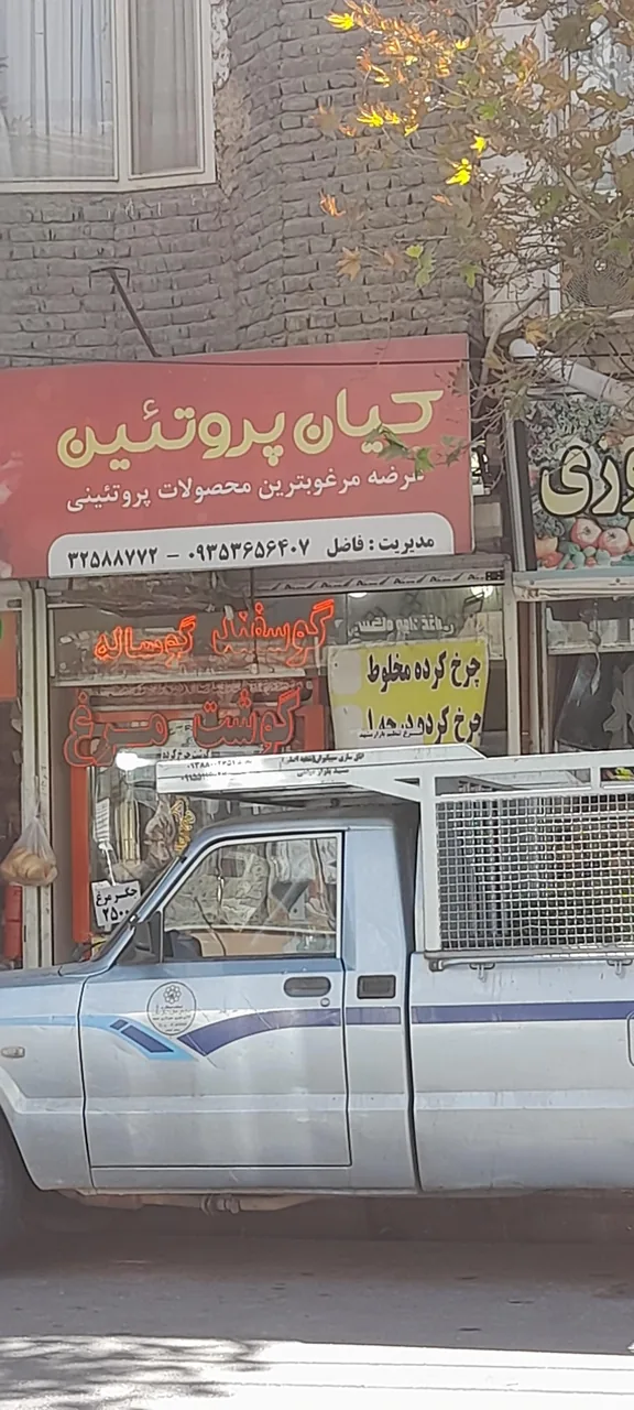 کیان پروتئین - تصویر 2