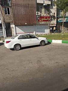 بوقلمون توس
