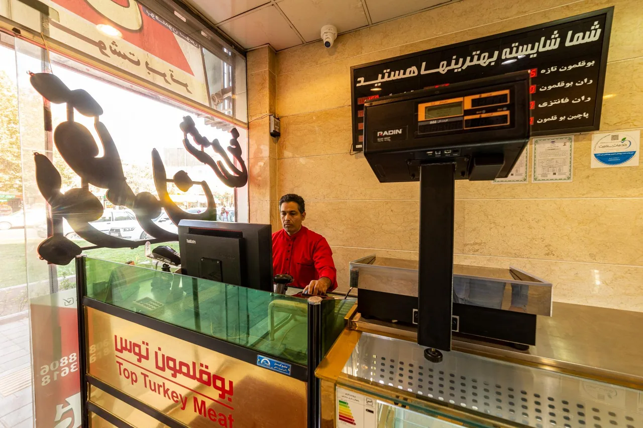 بوقلمون توس - تصویر 5