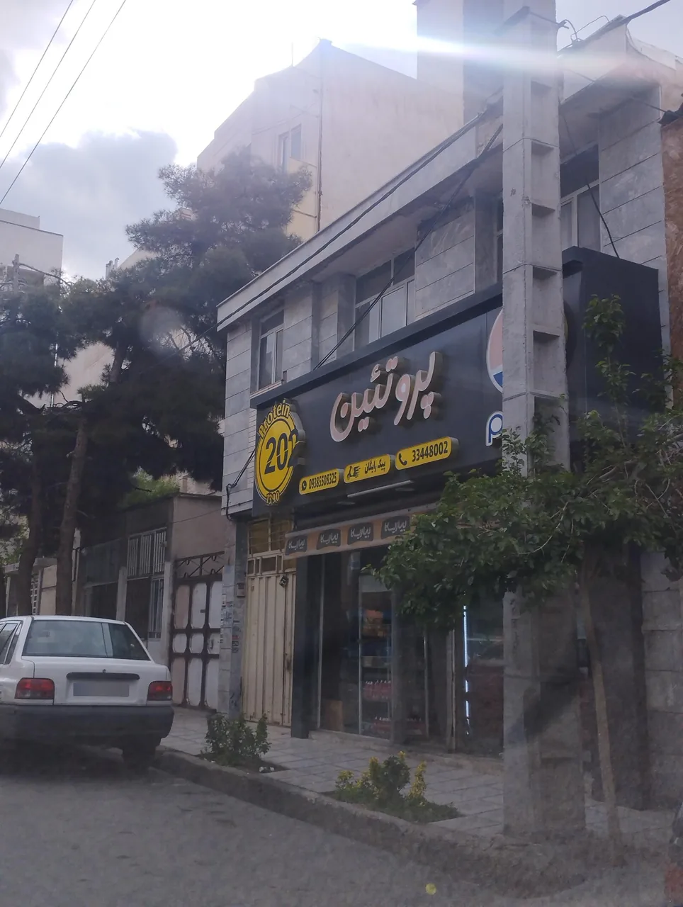 پروتئین 202 - تصویر 2