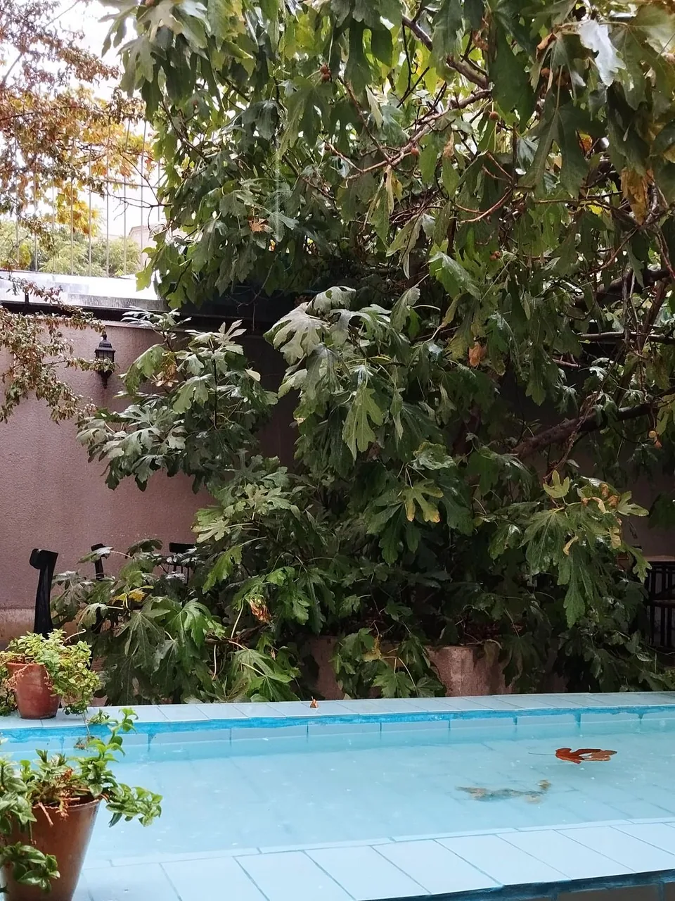 کافه کتاب خانه اکنون - تصویر 4