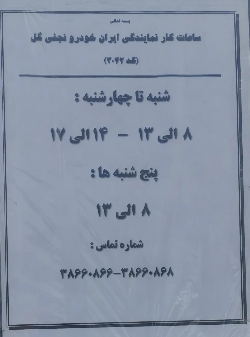 ایران خودرو نجفی گل 3042 - تصویر 2