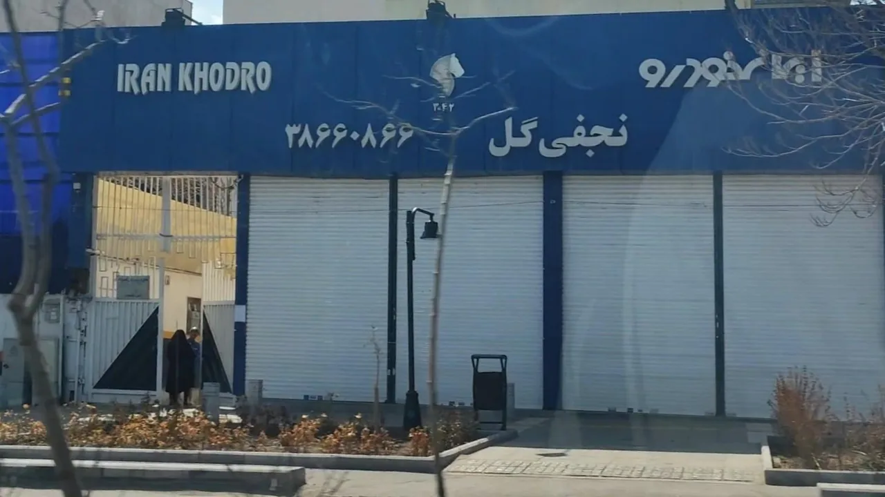 ایران خودرو نجفی گل 3042 - تصویر 4