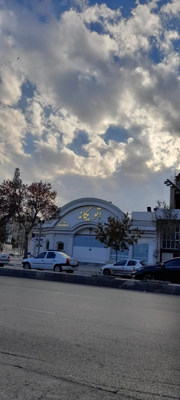 اتو یگانه - تصویر 3