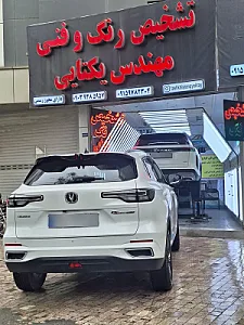 تشخیص رنگ و فنی مهندس یکتایی