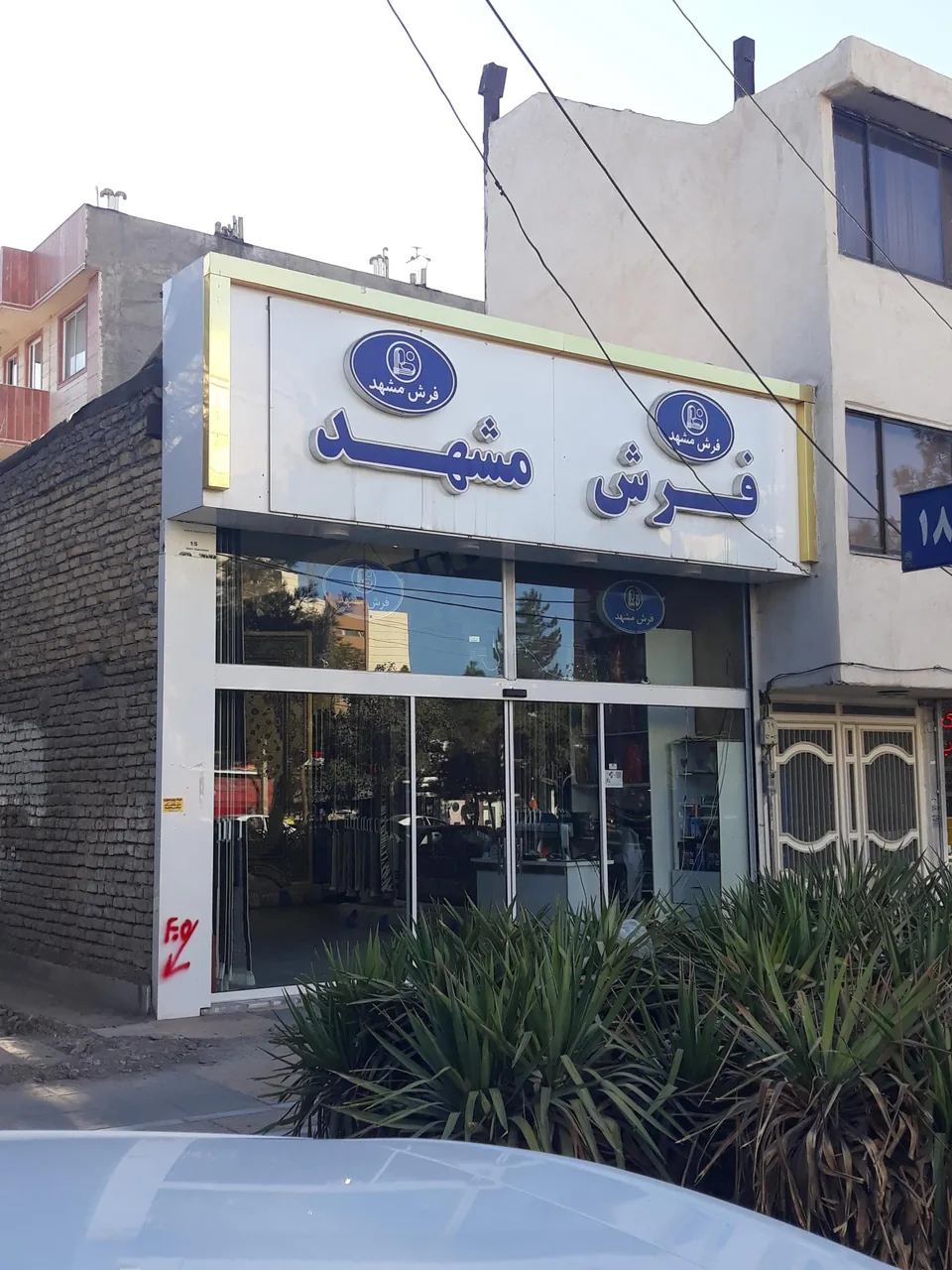 فرش مشهد - تصویر 4