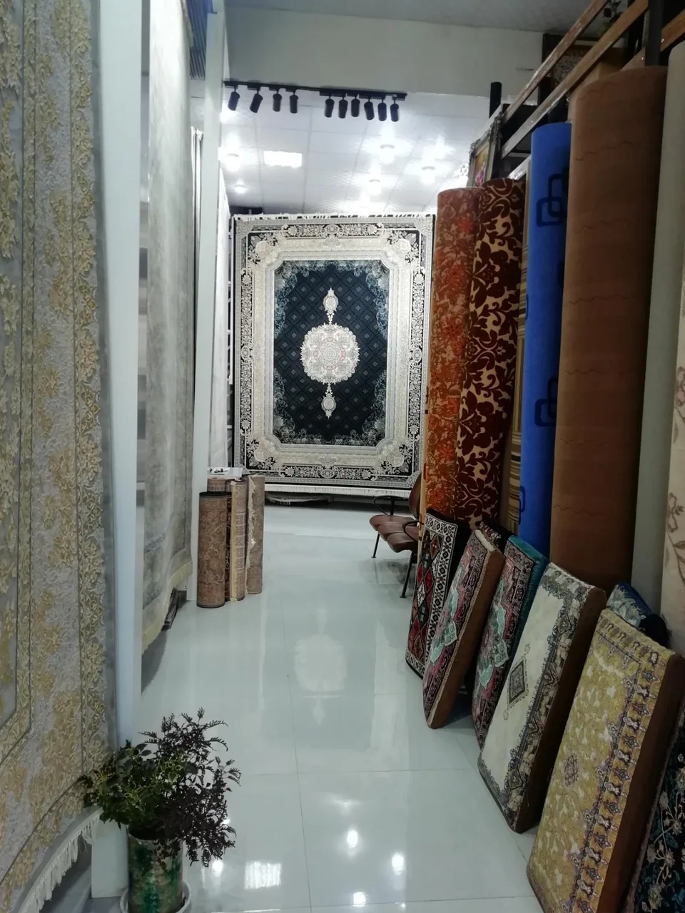 عمارت فرش پرهیزی