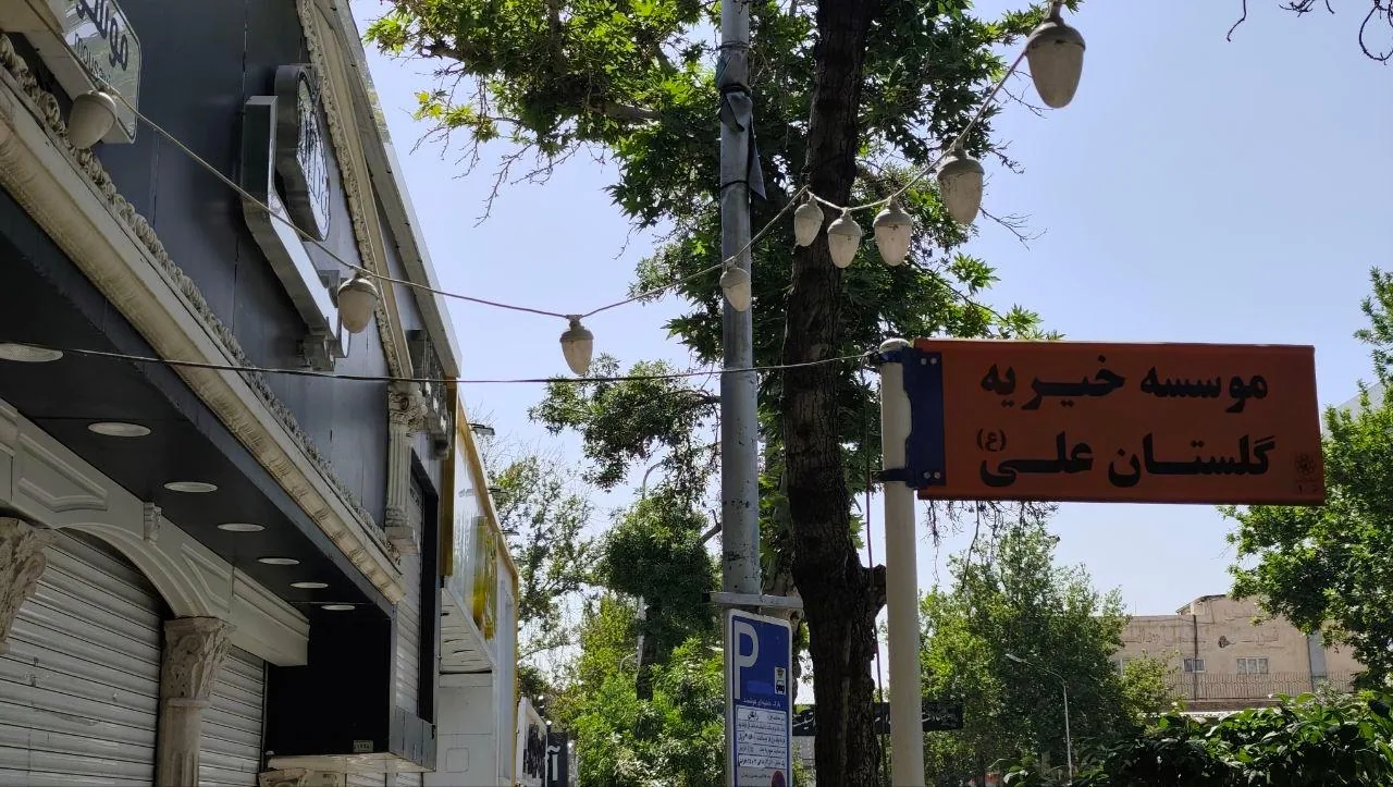 موسسه خیریه گلستان علی - تصویر 3
