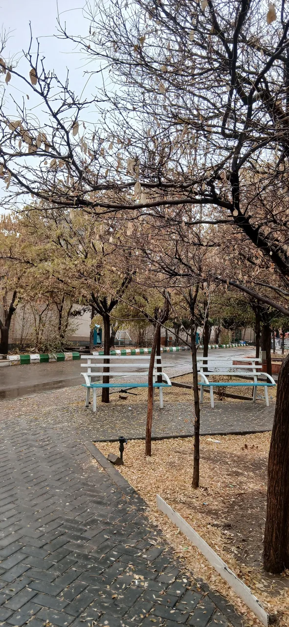 دانشکده حقوق و علوم سیاسی دانشگاه آزاد مشهد - تصویر 5