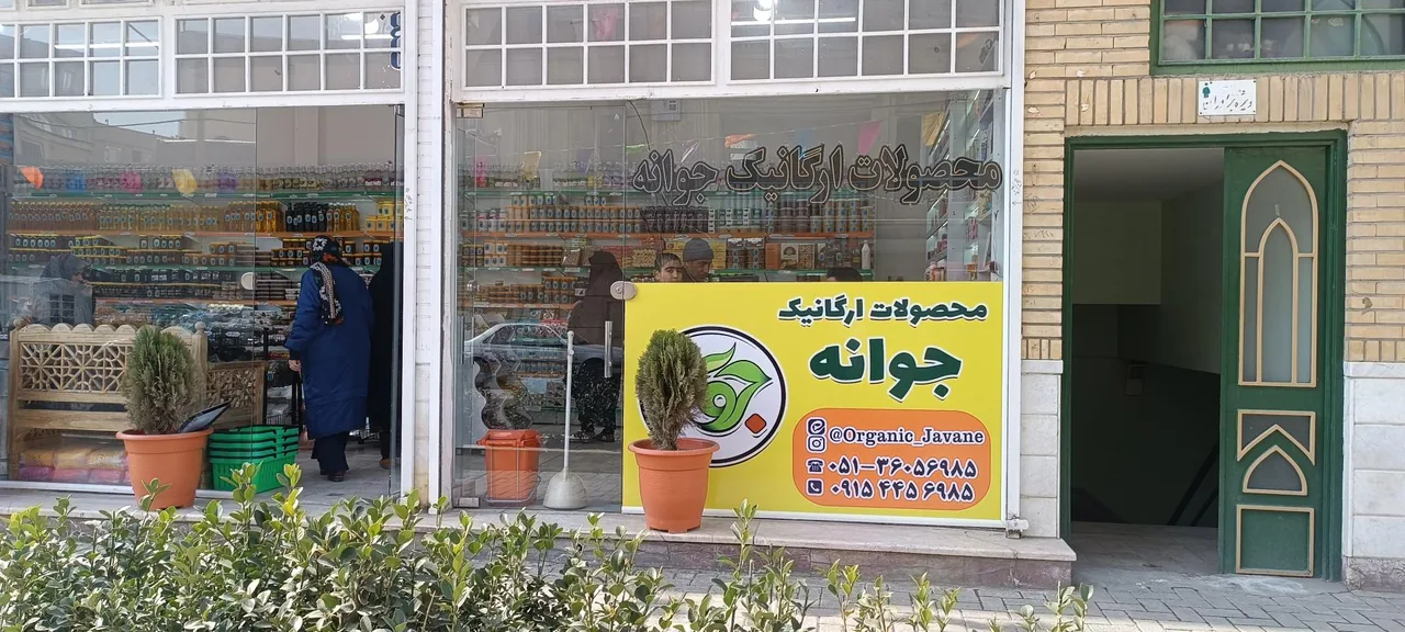 محصولات ارگانیک جوانه - تصویر 4