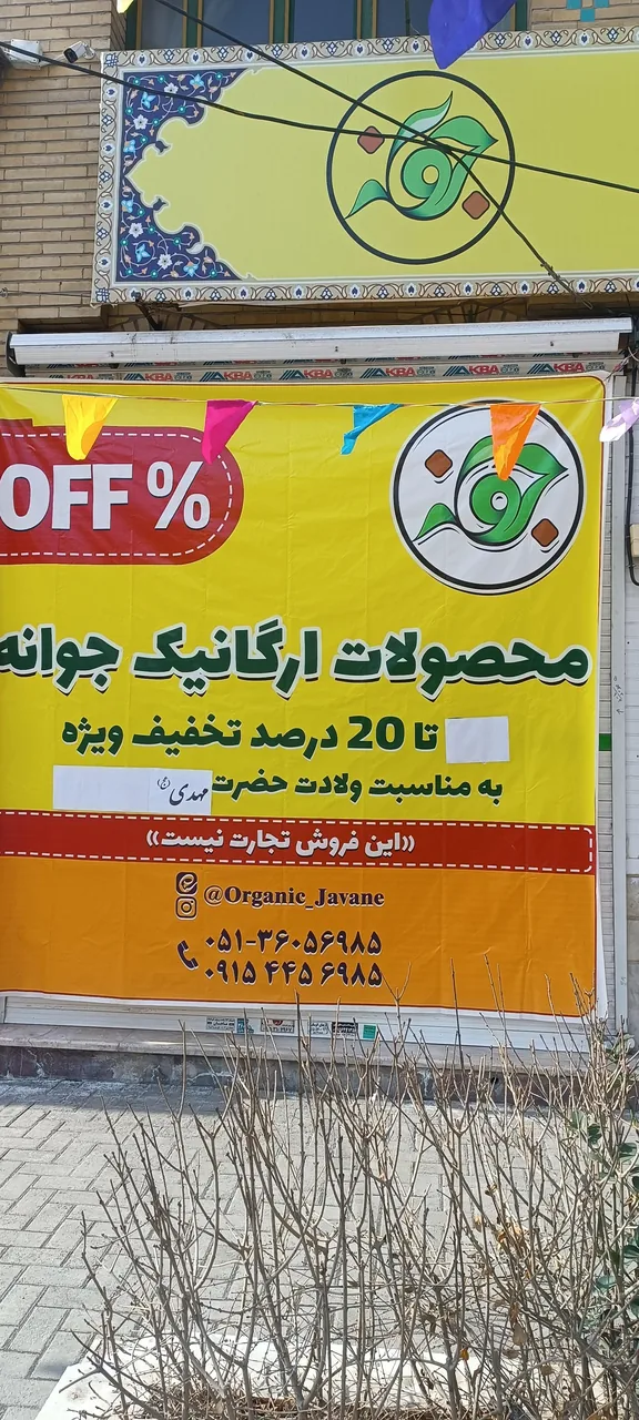 محصولات ارگانیک جوانه - تصویر 5