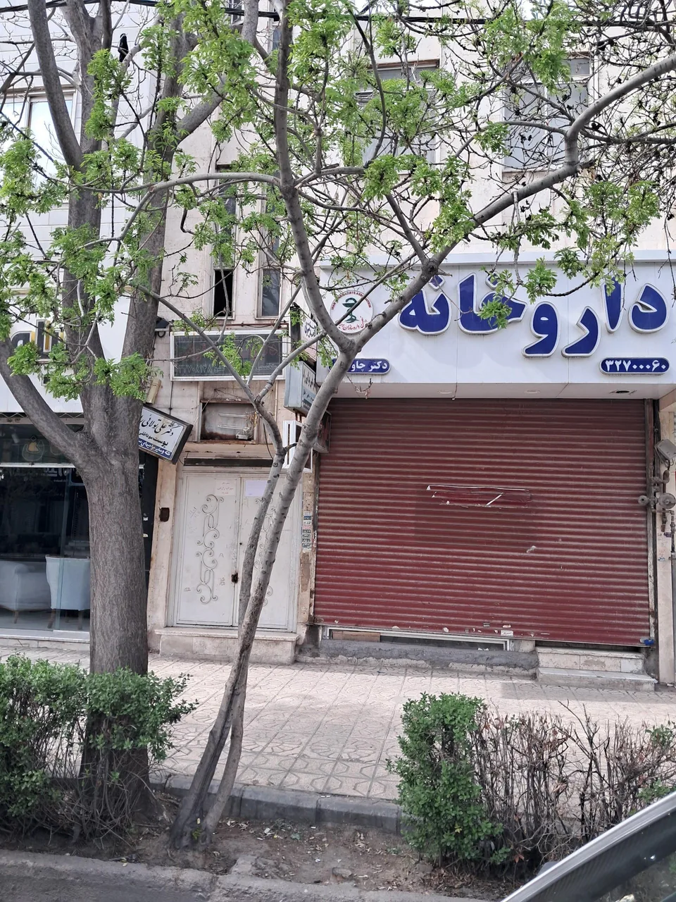 دکتر سهراب زارعی (متخصص اطفال) - تصویر 3