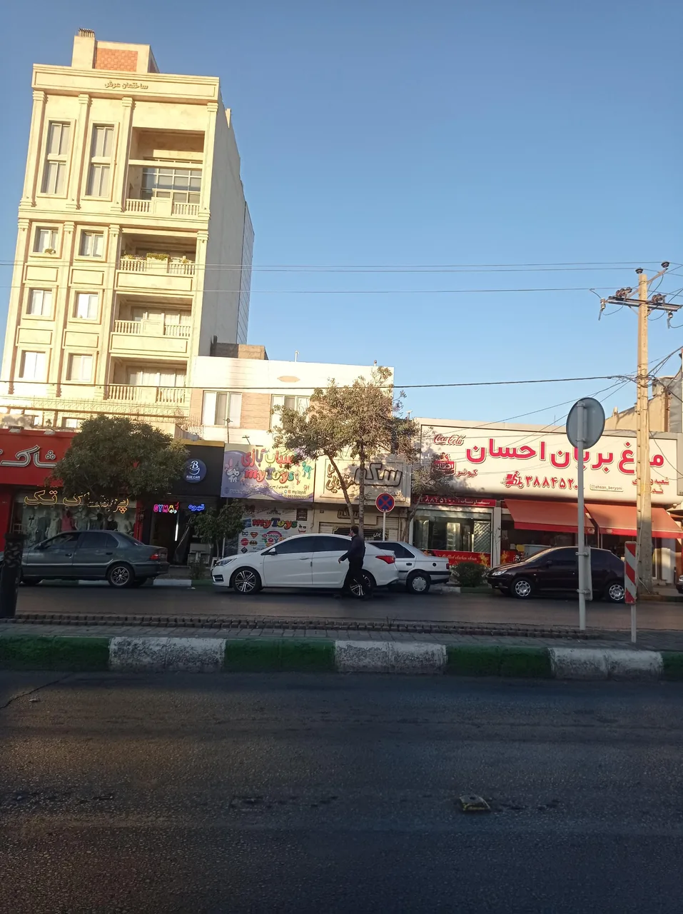 مرغ بریان احسان - تصویر 4