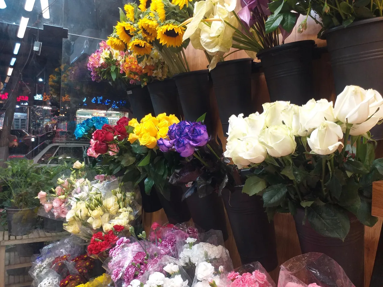 گلکده ریحانی - تصویر 5