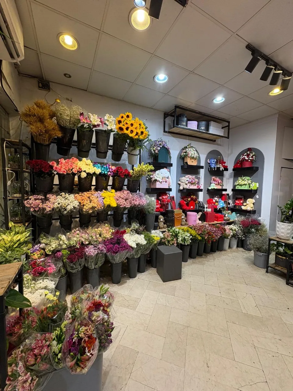 گل مینیاتور - تصویر 5