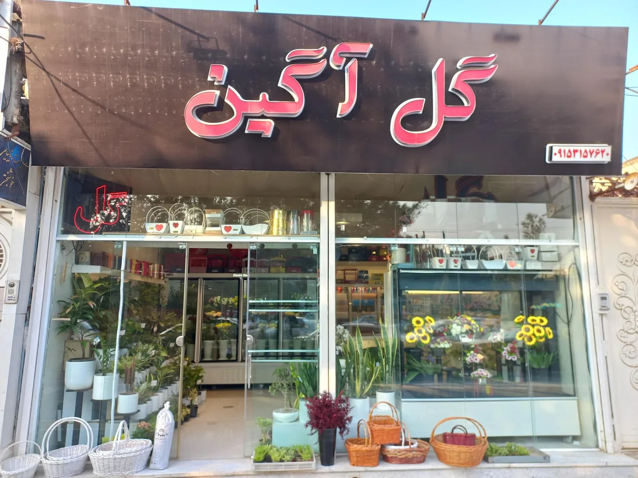 گل آگین - تصویر 2