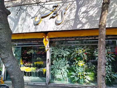 گل سرای قدس