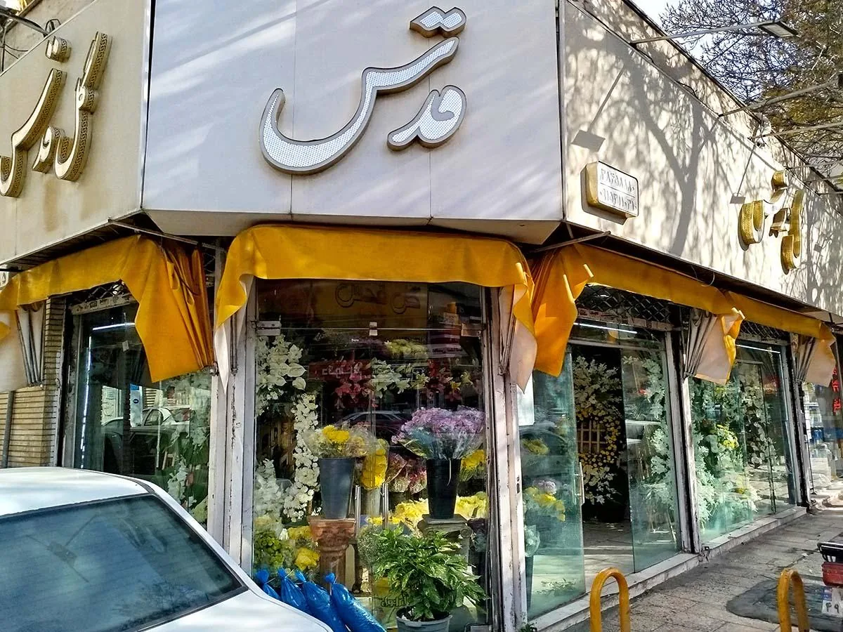 گل سرای قدس - تصویر 2