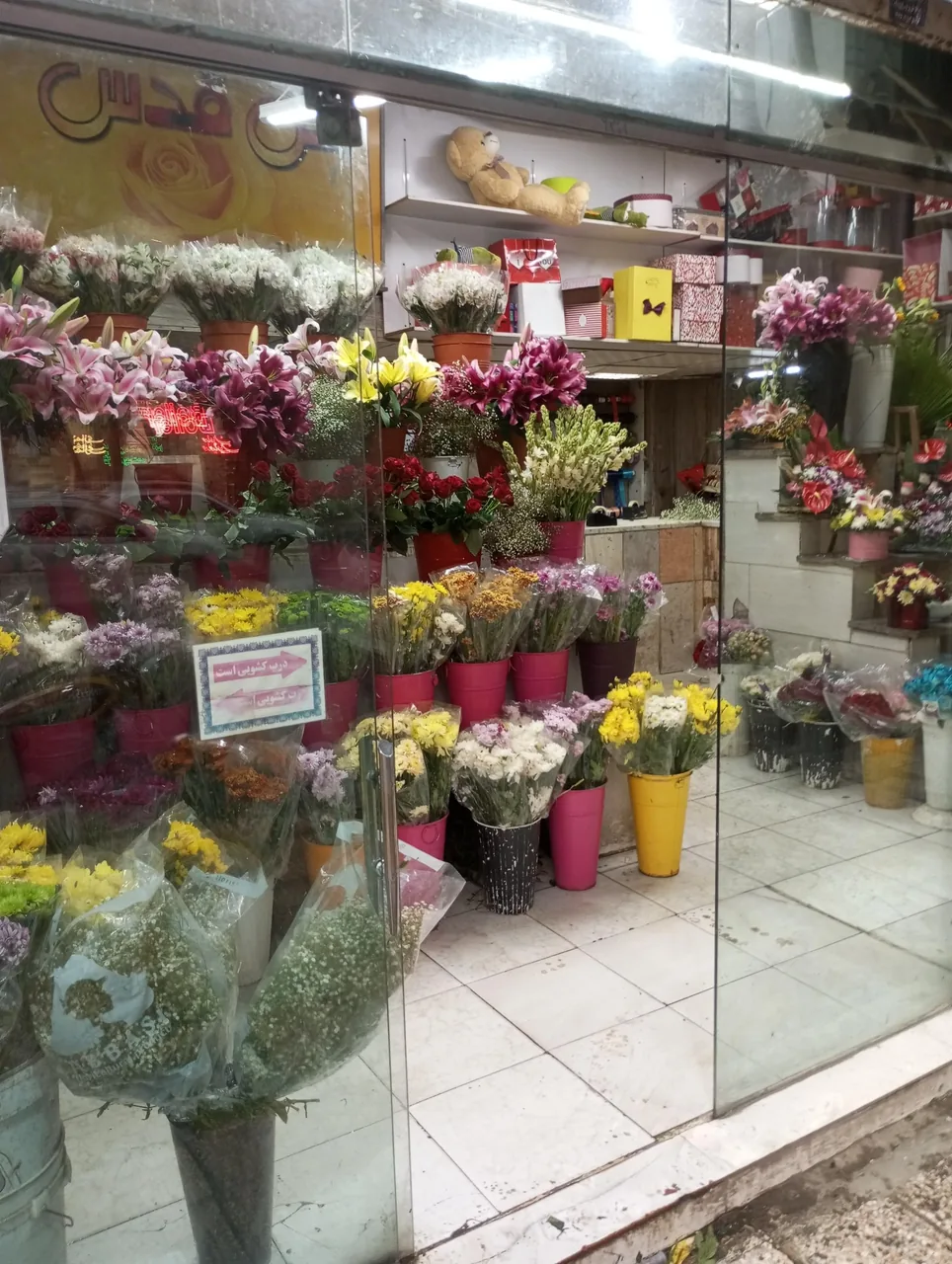 گل سرای قدس - تصویر 3