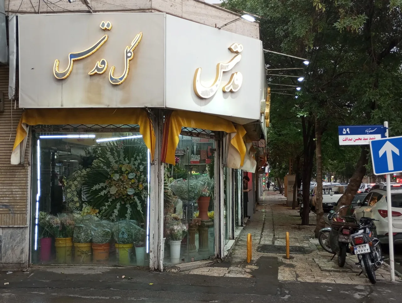 گل سرای قدس - تصویر 4