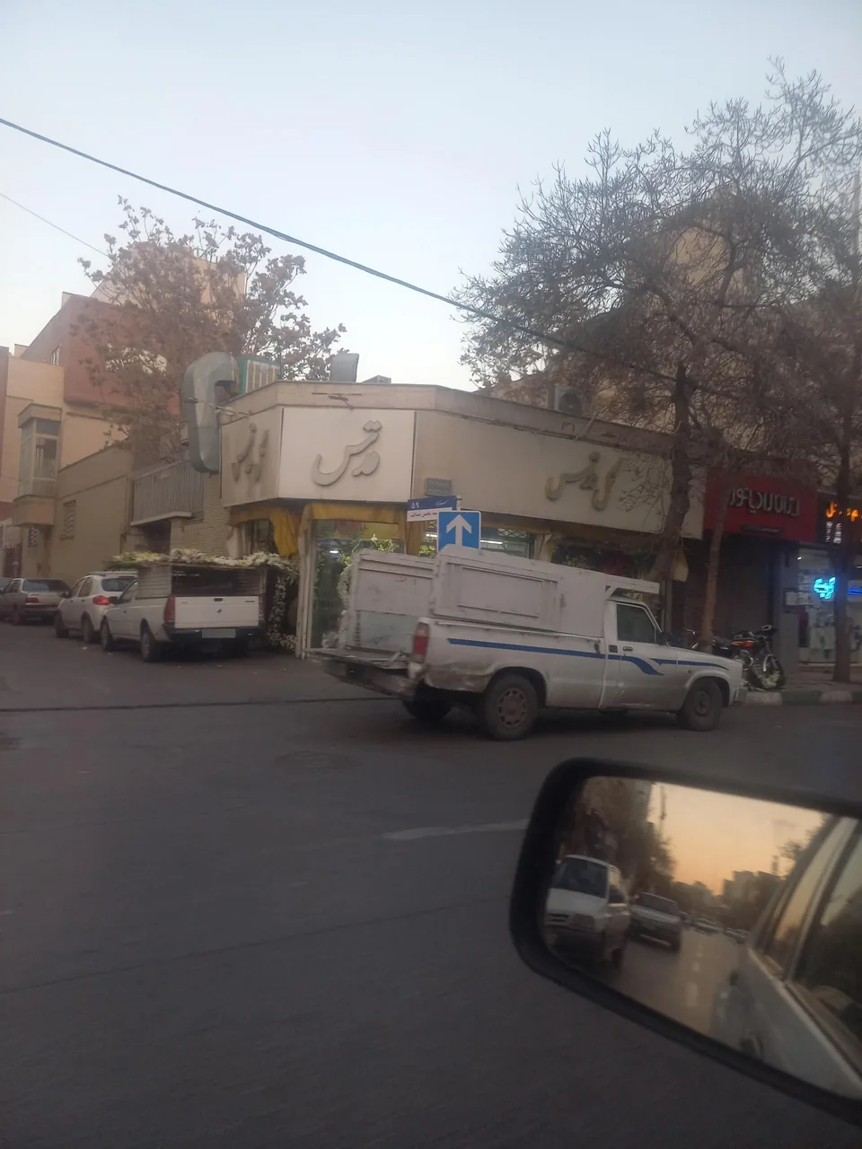 گل سرای قدس - تصویر 5
