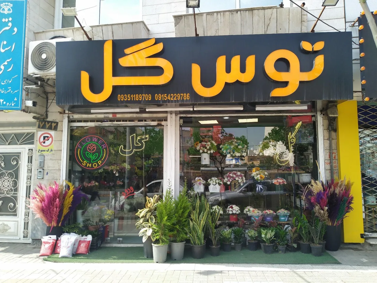 گل فروشی توس گل - تصویر 3