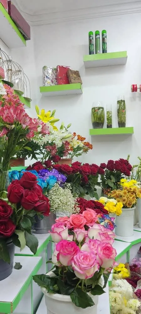 گلسرای لاله - تصویر 5