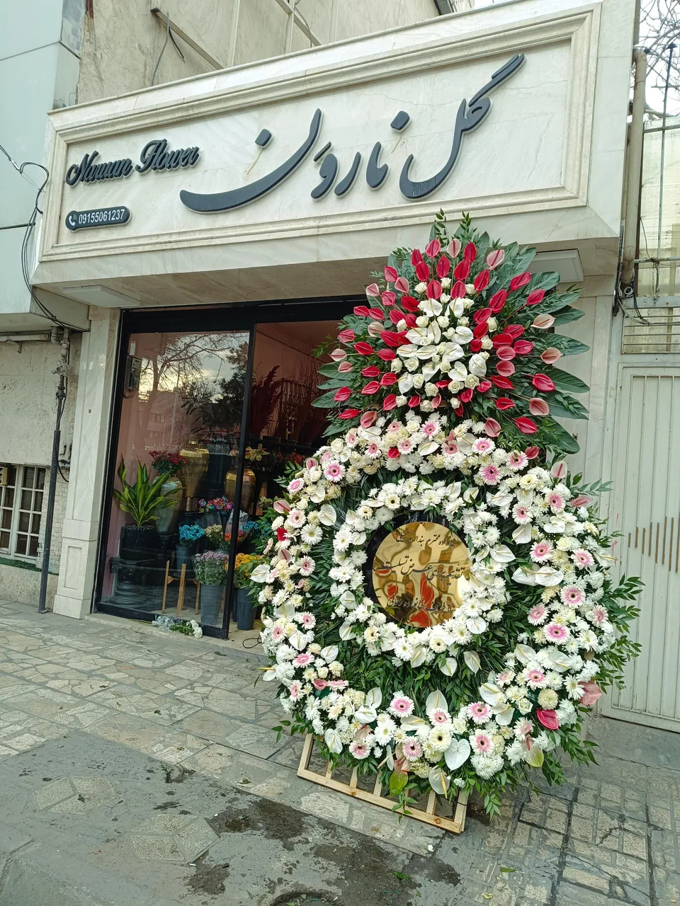 گل نارون - تصویر 3