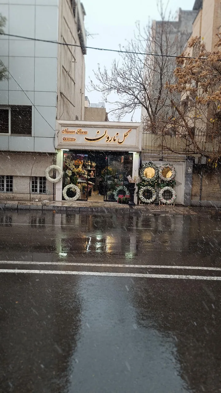 گل نارون - تصویر 4