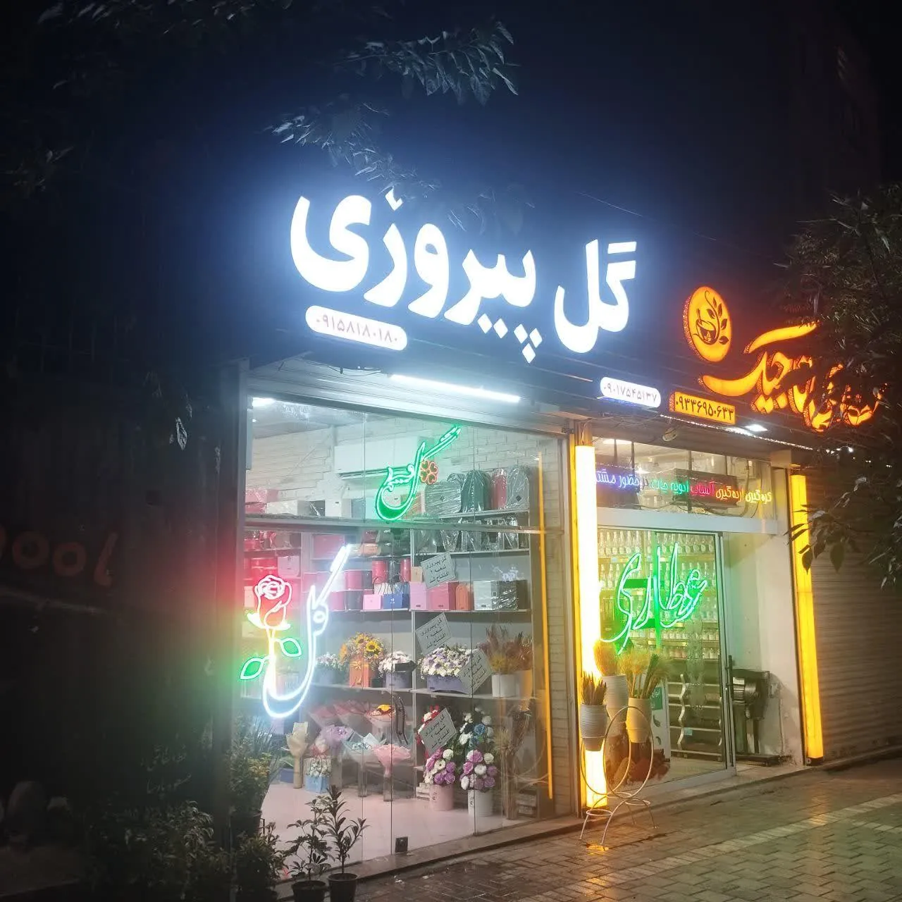 گل پیروزی - تصویر 2