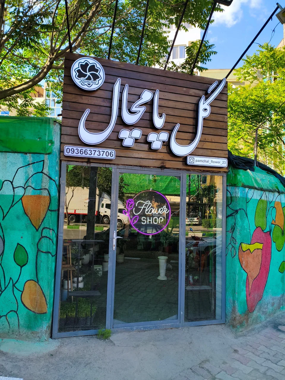 گل پامچال - تصویر 3