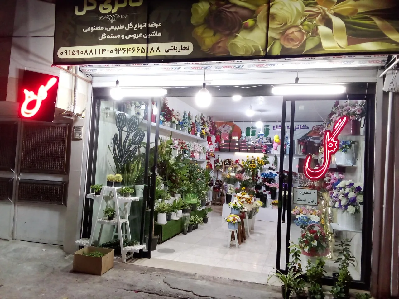 گالری گل آرتا - تصویر 2