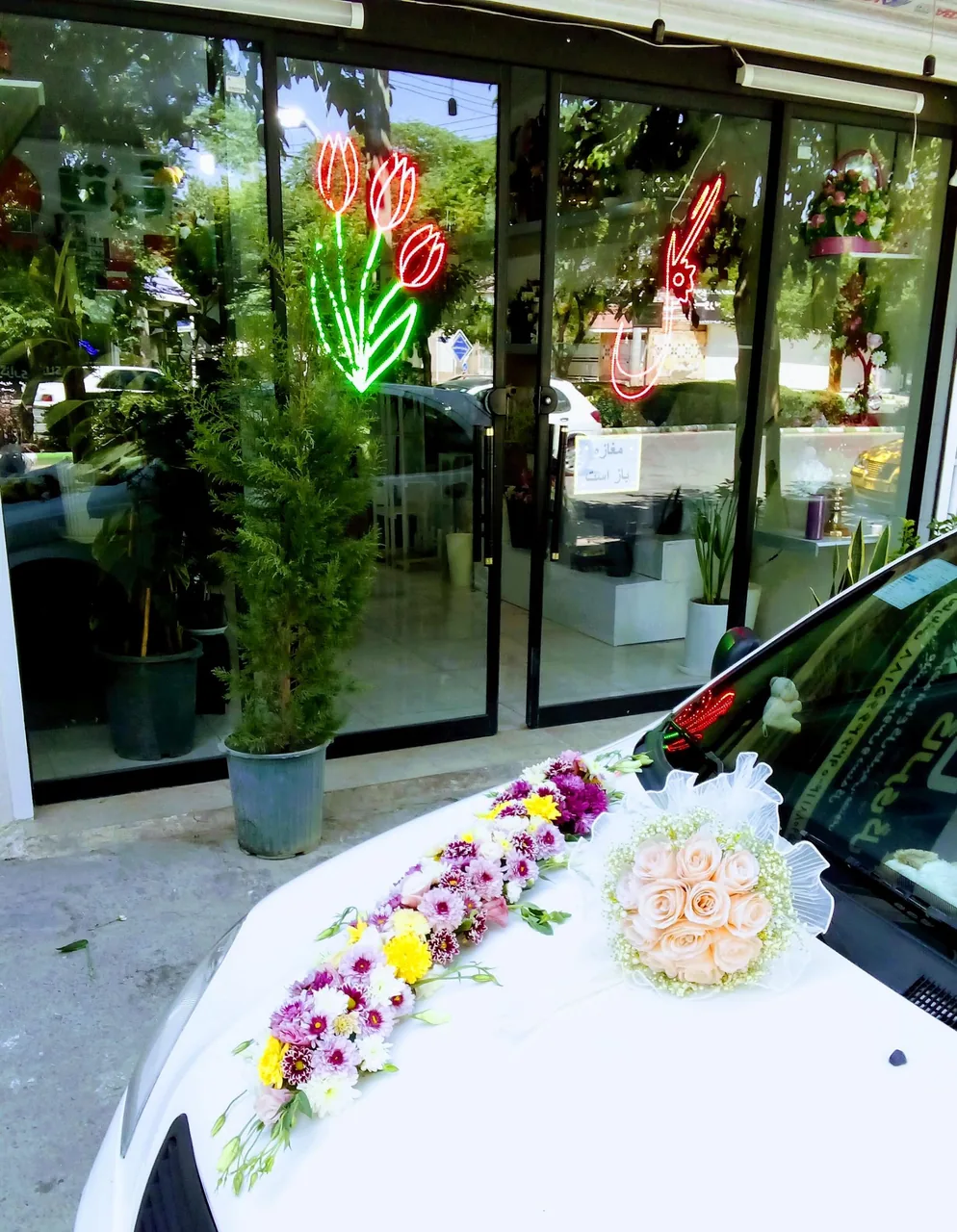 گالری گل آرتا - تصویر 5