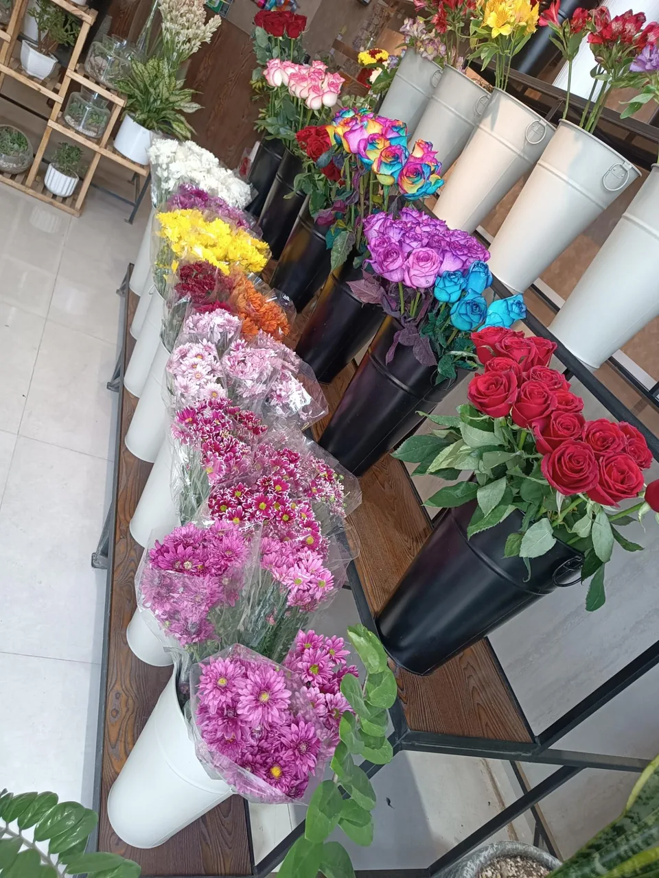 گل فروشی شکوفه - تصویر 3